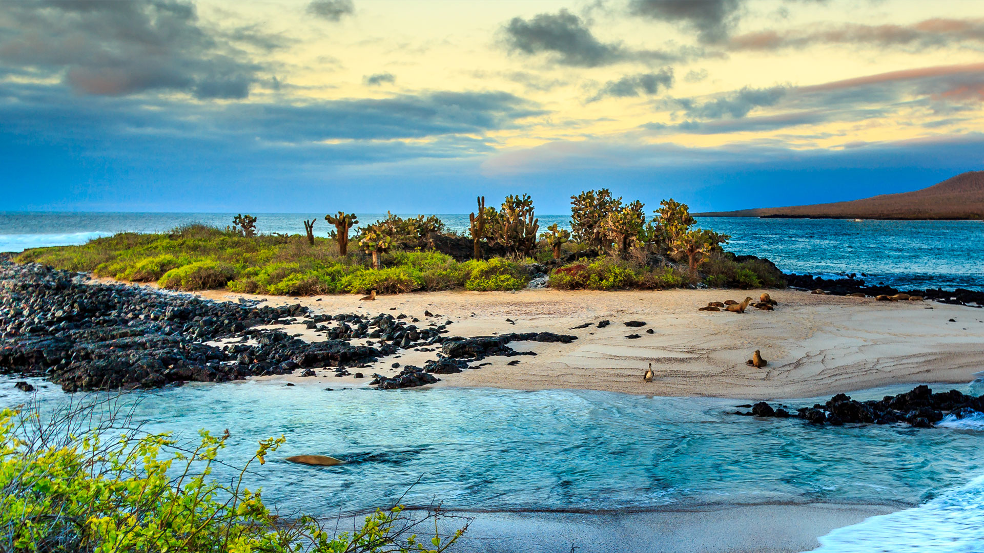 galapagos-island