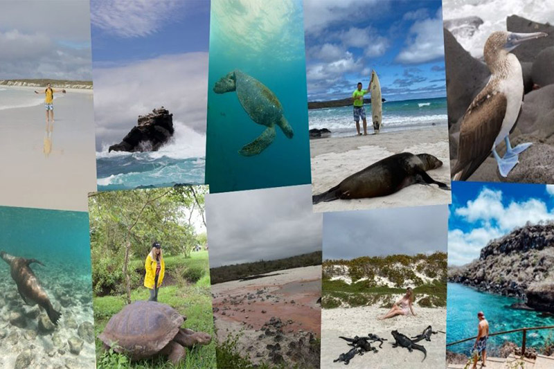 Galapagos island