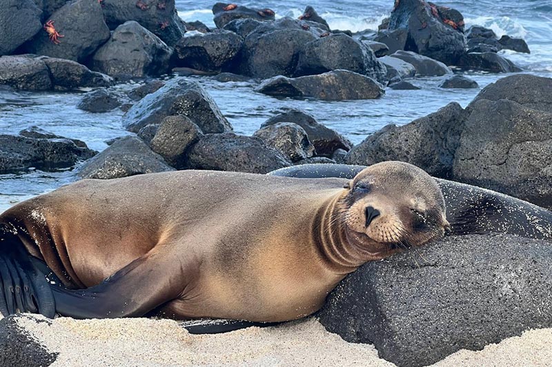 Galápagos Islands