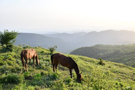 روستاهای شگفت انگیز ایران