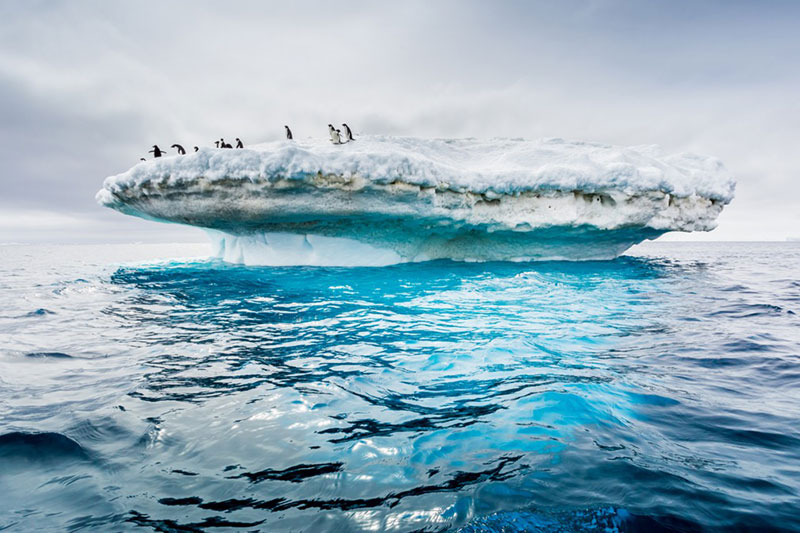 Crossing the Drake Passage, Southern Ocean