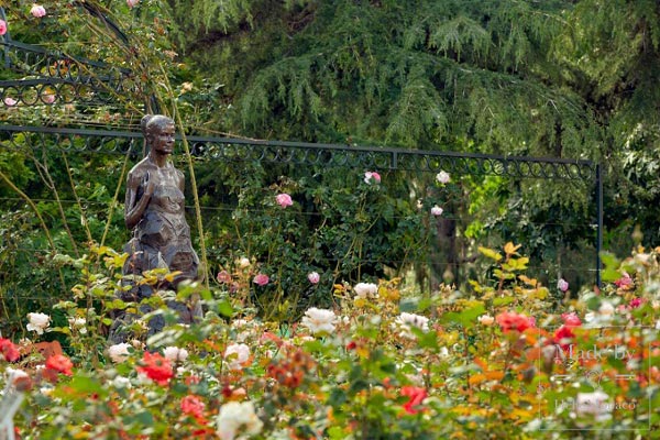 باغ رز شاهزاده موناکو