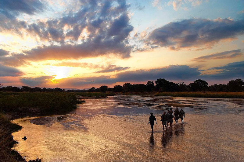 Walking Safari, Zambia