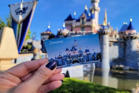 disney land ticket