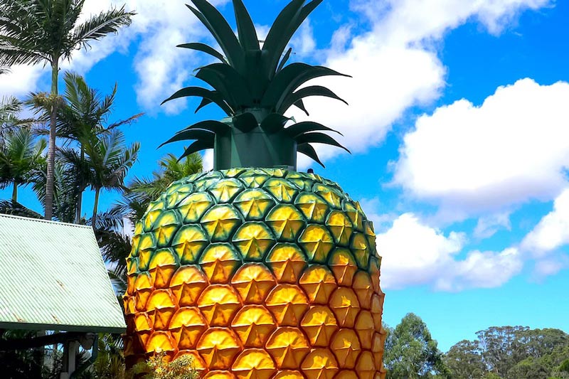 ساختمان آناناس بزرگ در کوئینزلند