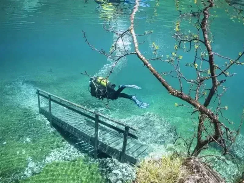 Green Lake Austria in Wonders Under the Seas