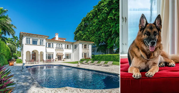 The Story of the World's Richest Dog