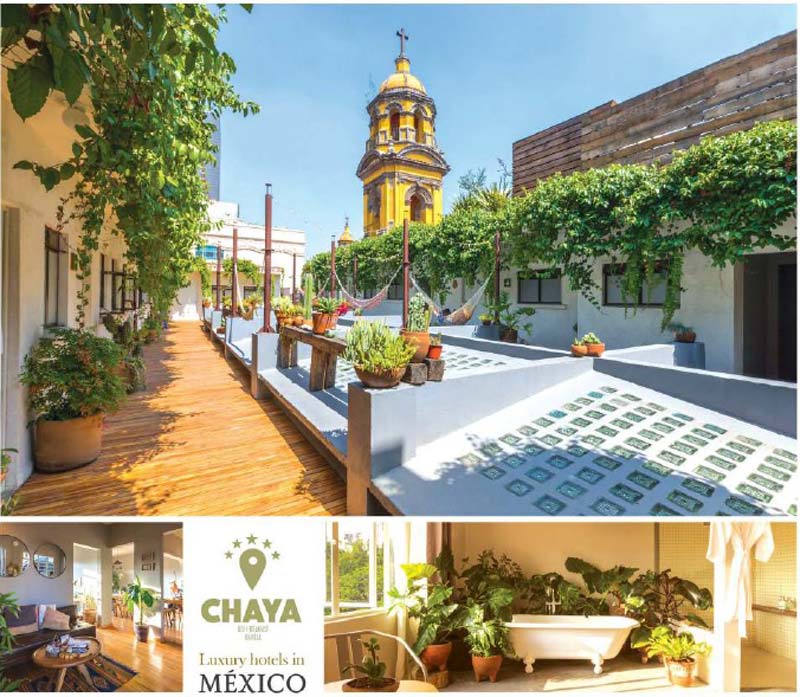 لابی هتل لوکس چایا، از بهترین هتل های مکزیک با قیمت و امکانات مناسب