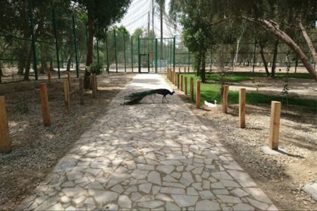 جاهای دیدنی بندرعباس
