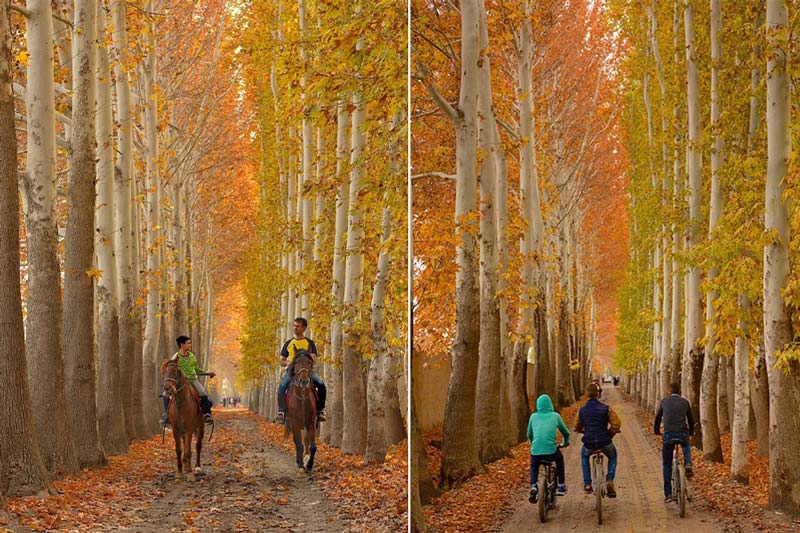 Autumn Therapy with Tehran's Villages