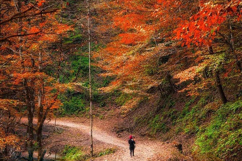 زیباترین روستاهای پاییزی تهران