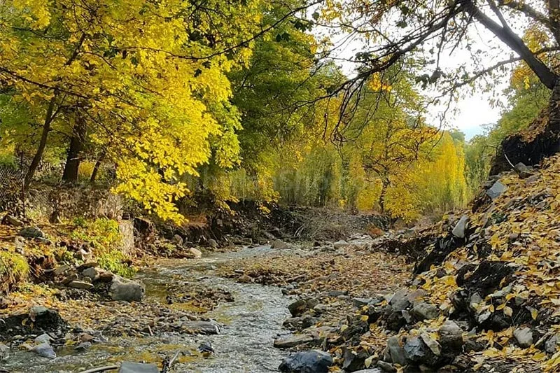 Autumn Therapy with Tehran's Villages