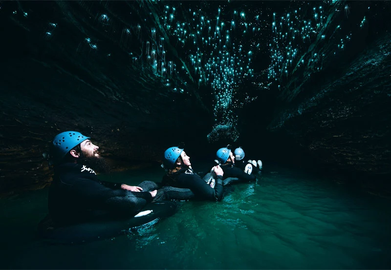 Waitomo Caves; The Night Sky Enclosed in a Cave