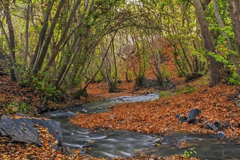 fall locations near mashhad