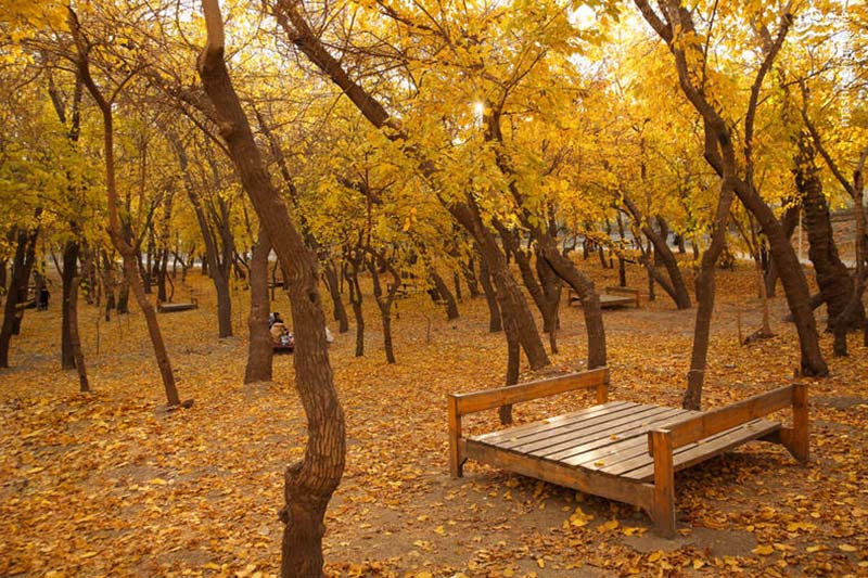 fall locations near mashhad