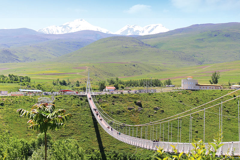 Suspended Bridges