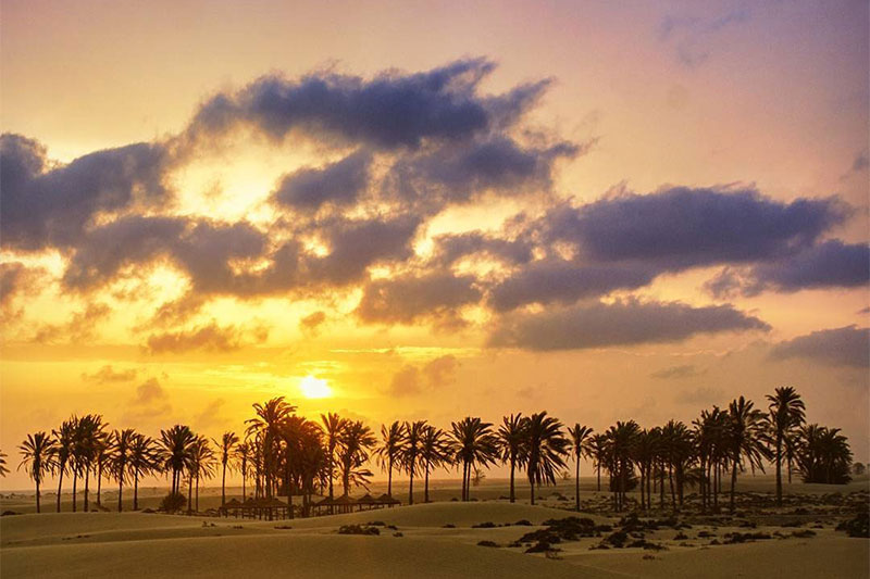 Other attractions of Darak Beach include palm trees along the beach, an unparalleled sense of silence and tranquility