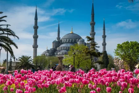 دبی یا استانبول