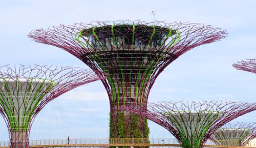 Gardens-by-the-Bay
