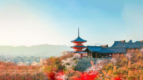 Must-See Temples and Shrines in Japan