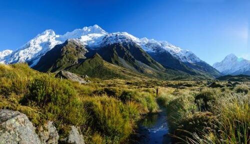 New-Zealand-