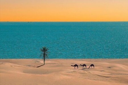 راهنمای سفر به ایران