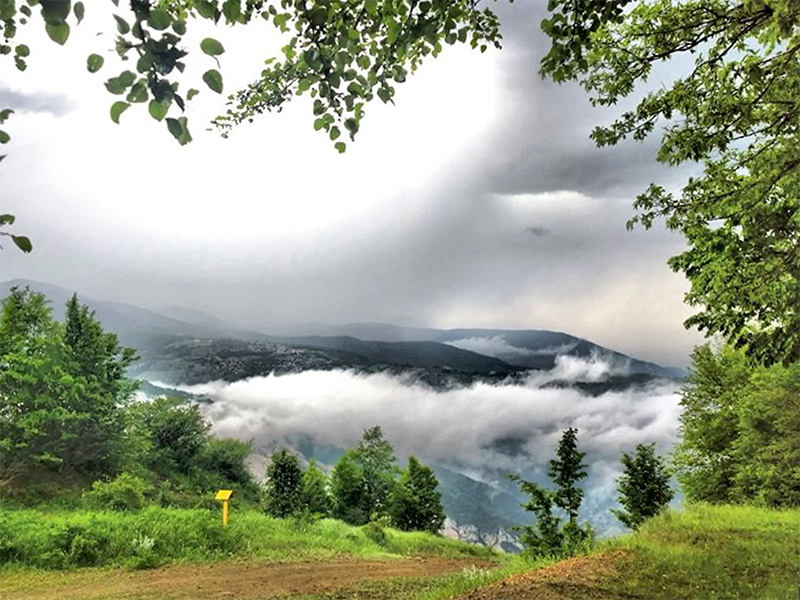 Noqhlebar Forest