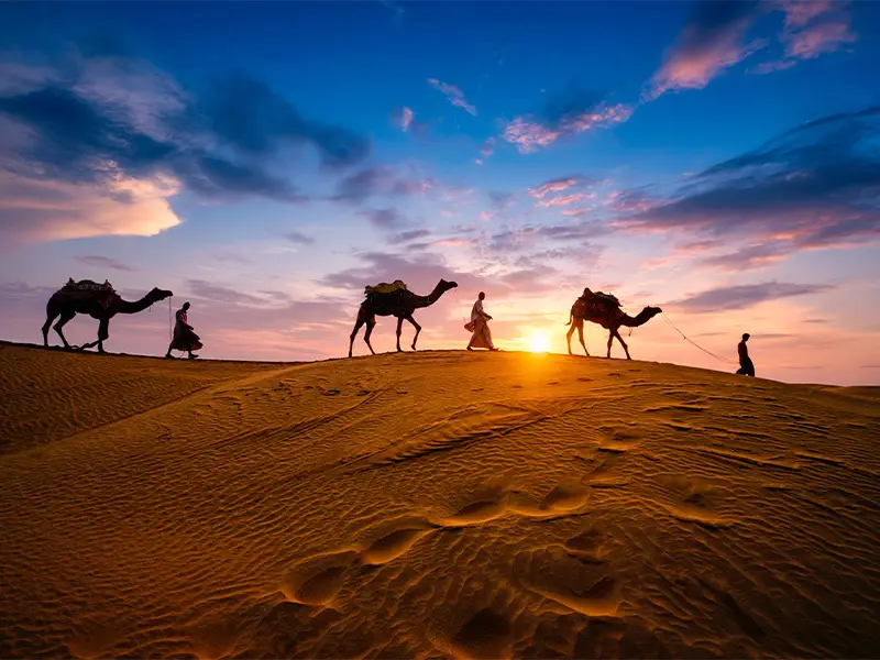 پارک سافاری جزیره کیش