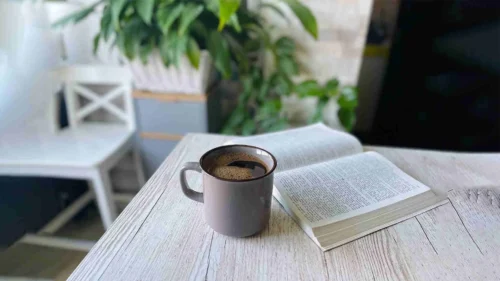The Best Book Cafes in Tehran