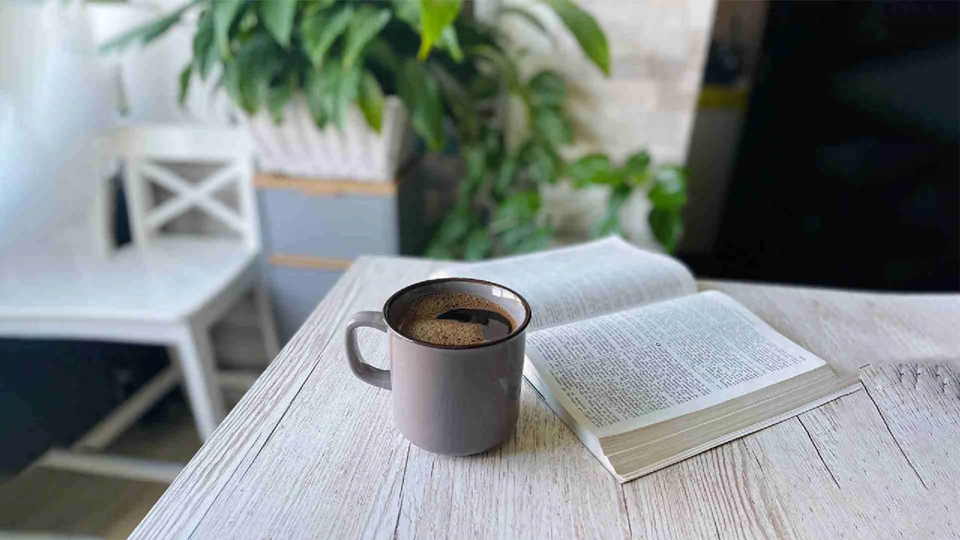 The Best Book Cafes in Tehran: Where Literature Meets Tranquility