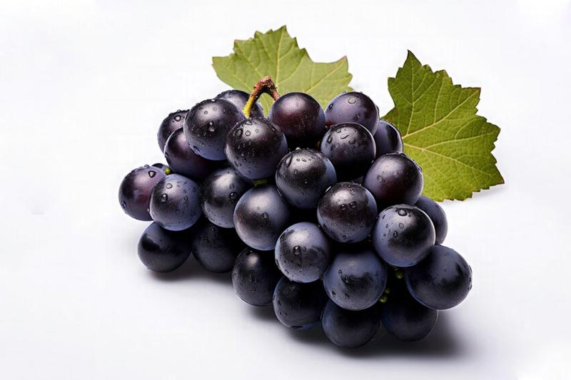 میوه های پاییزی
