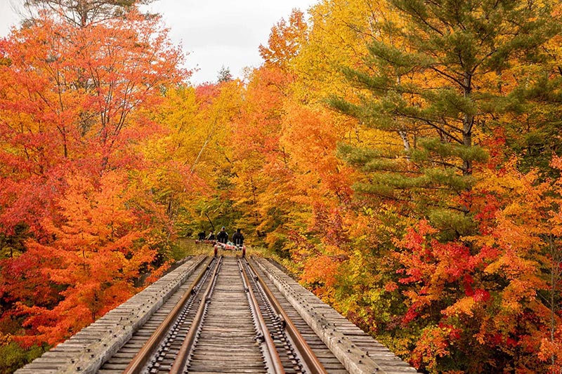 beautifull autumn railway stations
