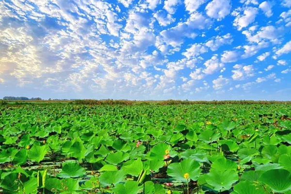 بماذا تشتهر كل مدينة في إيران