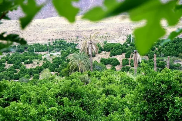 بماذا تشتهر كل مدينة في إيران