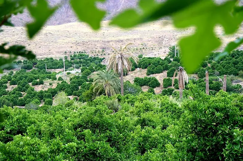 جیرفت، هندوستان کوچک و کالیفرنیای ایران