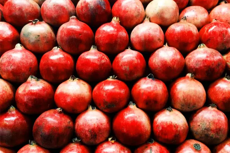 Atmosphere-of-the-Festival