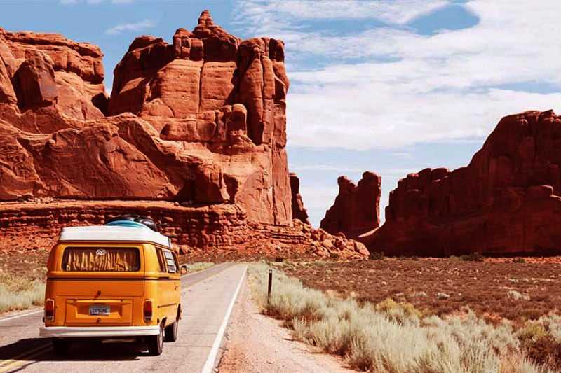 International-car-license-plate