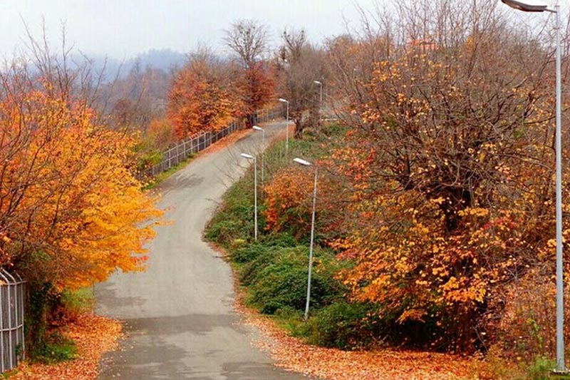 زیباترین پارک های جنگلی ایران در پاییز