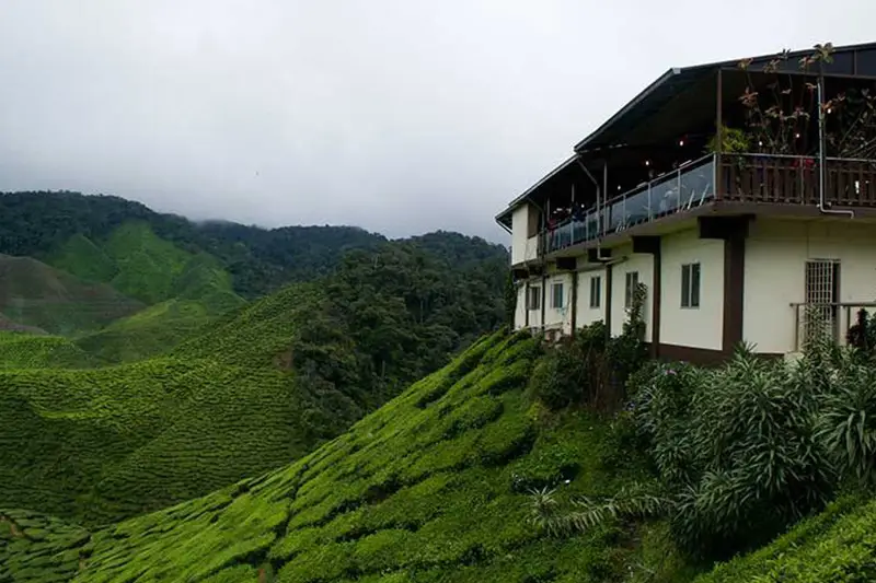 Cameron Highlands