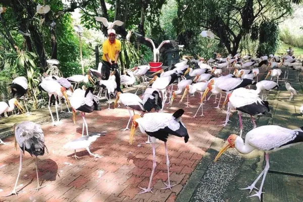 الأماكن السياحية في ماليزيا